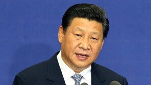 시진핑 “中·아프리카 운명 공동체 건설…600억 달러 추가 지원”