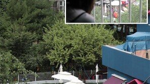 아파트 코앞 애견 운동장… 개들은 천국, 주민엔 소음지옥