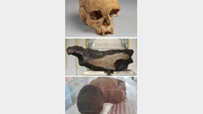 물 없어 곧바로 진화 못해… 브라질 국립 역사박물관 잿더미로