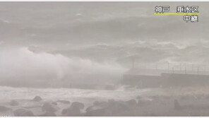 “이런 태풍은 처음, 건물 흔들흔들”…일본 태풍 제비 상륙,  SNS 실시간 상황 