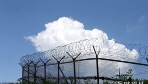 “MDL 남측 지뢰지대 여의도 면적의 40배…완전 제거에 200년 걸려”