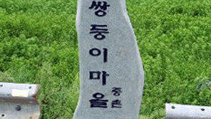 여수 쌍둥이 마을에 유래석-표지석 설치