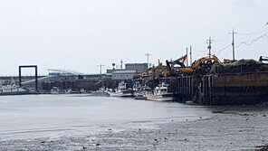 “상반기에도 헛탕이었는데…” 한숨 짓는 꽃게 어민들