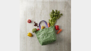 현대백화점, 식품관 내 ‘일회용 비닐봉투’ 사용 전면 중단…친환경 장바구니 제작