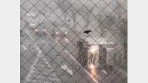 일본서 태풍 ‘제비’ 위력 겪은 한국인들 “극한의 두려움”, “온몸이 떨려”