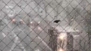 일본 태풍 피해 ‘눈덩이’…“11명 사망·292명 부상·주택300채 파손”