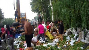 트럭 전도, 복숭아 ‘와르르’…사고 외면 과일 주워담은 수십명 ‘뻔뻔’