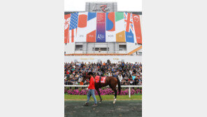 렛츠런파크 서울 최강마 ‘청담도끼’, 코리아컵 노린다