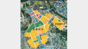 서수원 효행지구옆 점포겸용 주택용지 인기