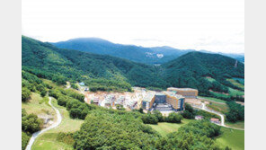 힐링, 비즈니스, 의료까지… 평창 특급호텔서 누린다