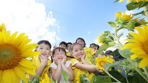 “해바라기보다 더 예쁜 내 얼굴”