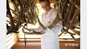 ‘신의 뿔’ 녹용, 원산지 알고 드시나요?