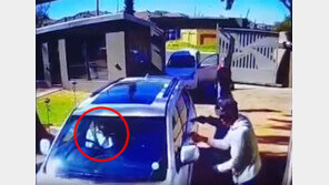 [영상]노인 얕잡아 본 총기 강도, 터프한 할머니 반격에 ‘혼쭐’