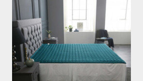 라디언스, 라디샤인 원적외선 매트 수면 개선효과 임상연구 발표