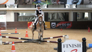 [경마 단신] 승마사례 공모전 시행 外