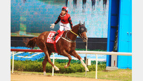 “코리아컵 日 3연승 막아라” 국산마 총출동
