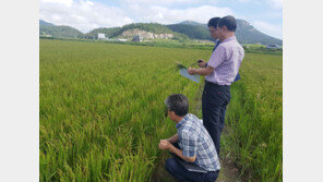 태풍-호우에 전남지역 대규모 흑수피해 우려