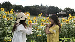 수성못페스티벌 등 초가을 축제 잇따라