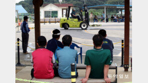 5060 은퇴男들, 지게차 면허 취득 열풍…이유 보니