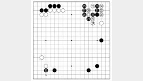 [바둑]알파고 vs 알파고 특선보… 복잡한 싸움은 싫다