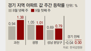 규제 비웃듯… 투기지역 지정에도 오름세 지속