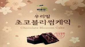 ‘급식 케이크 식중독’ 1592명 의심증세