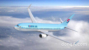 대한항공, 日 오사카·삿포로 노선 전편 운항 중단… 인근 노선 추가