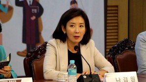 나경원 “특사단, 어김없이 빈손…北‘도돌이표’ 발언에도 내주지 못해 안달”
