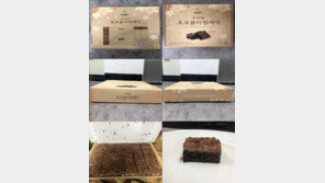 ‘식중독 케이크’서 살모넬라균 검출…열에 ‘취약‘, 저온·냉동·건조엔 ‘꿋꿋’
