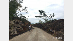 산사태에 폭우까지…홋카이도 ‘아쓰마 마을’ 가보니