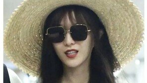 “판빙빙, 탈세는 빙산의 일각…연예계 복귀 불가능”  中 고위인사 ‘단언’