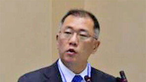 정의선 부회장, 인도 ‘무브서밋’ 기조연설