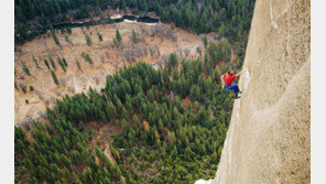 산 사나이들의 우정… 난민 다큐… 가을 나들이에 영화는 ‘덤’