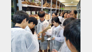 청소년 직업체험 멘토링, 병원이 나섰다