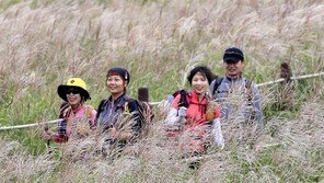 무등산 장불재 억새 물결