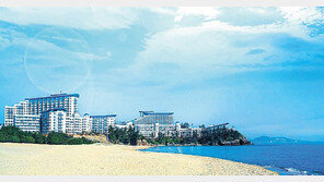 대명리조트, 창립기념일 맞아 특별회원권 분양 外