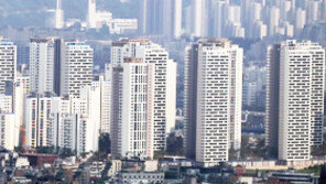 정부 “서울 2주택 이상 종부세 최고 3.2%중과…수도권 택지 30곳·30만호 공급”