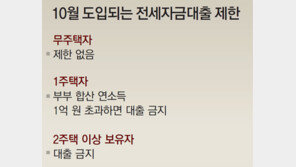 부부합산 1억 버는 1주택자, 전세대출 불가