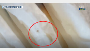 아기 기저귀에 살아있는 애벌레 ‘기겁’…업체 “제조 공정에선 존재 불가” 주장