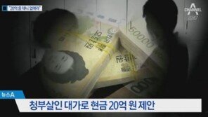 ‘송선미 남편 살인교사’ 30대 2심도 무기징역…살인범은 18년으로 감형