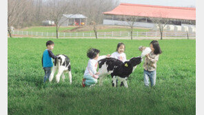 자연순환형 친환경 낙농이 뜬다!