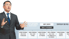 車외에 철강-건설 등 보폭 커진 정의선