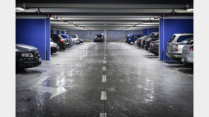 “VIP 스티커 삽니다”…백화점 주차장 빈틈 노리는 ‘카(Car)멜레온’들