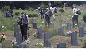 ‘벌초’ 어디까지 해야 예를 다하는 걸까…처가나 외가는?