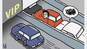 백화점 VIP로 위장 ‘주차장 카멜레온’