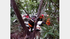 경비행기 야산 추락… 2명 사망