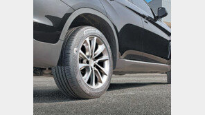 SUV에 최적화… 충격 흡수력 뛰어난 ‘크루젠 HP71’ 