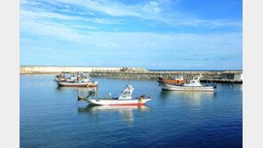 ‘대게피자’ 만들고 ‘인생샷’까지…추석에 가볼만한 어촌마을 20선