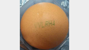 세종 농장 계란서 ‘피프로닐 설폰’ 기준치 초과…“전량 회수·폐기”