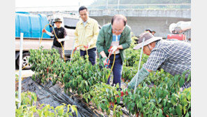 체류형 관광인프라 확충으로 1000만 관광객 유치